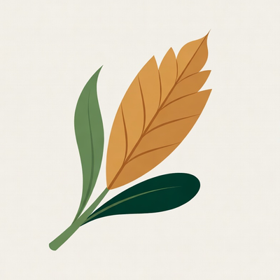 eltayibat logo